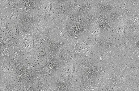 sub-image1