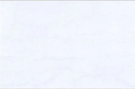 sub-image1
