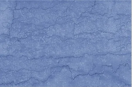 sub-image1