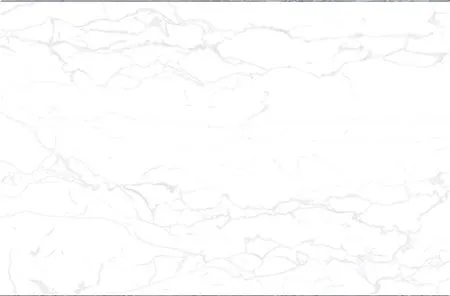 sub-image1
