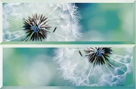 sub-image1