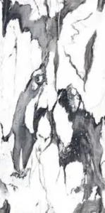 sub-image1