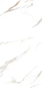 sub-image1