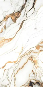sub-image1
