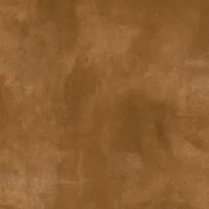 sub-image1