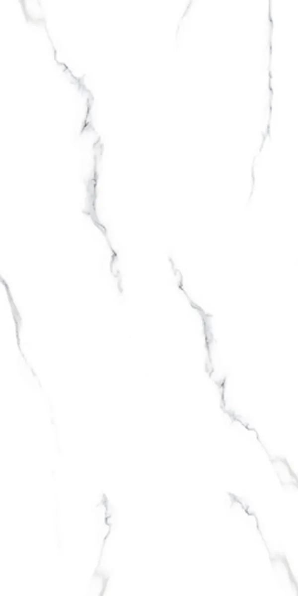 Your Image