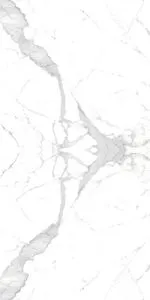 sub-image1