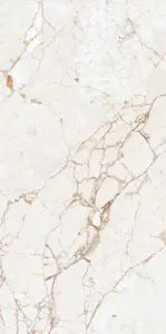 sub-image1