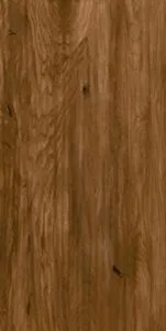 sub-image1