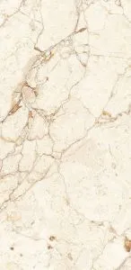 sub-image1