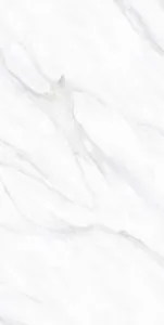 sub-image1