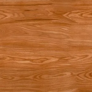 sub-image1