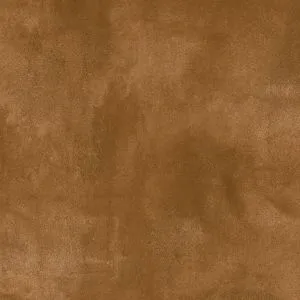sub-image1