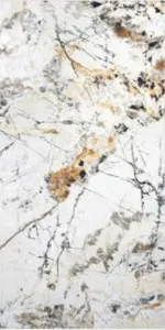 sub-image1