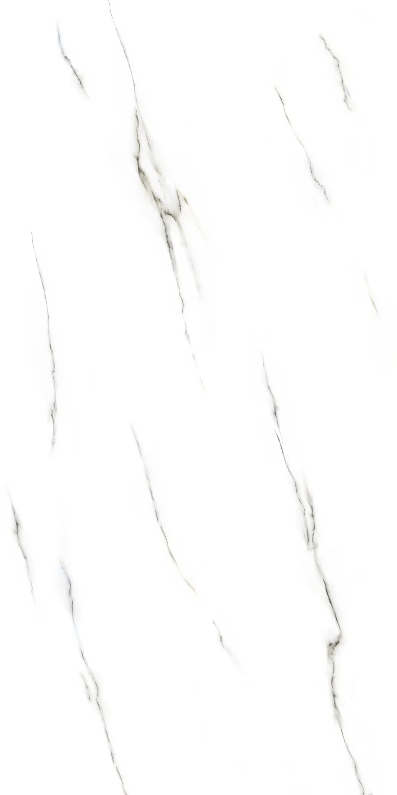 Your Image