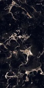 sub-image1